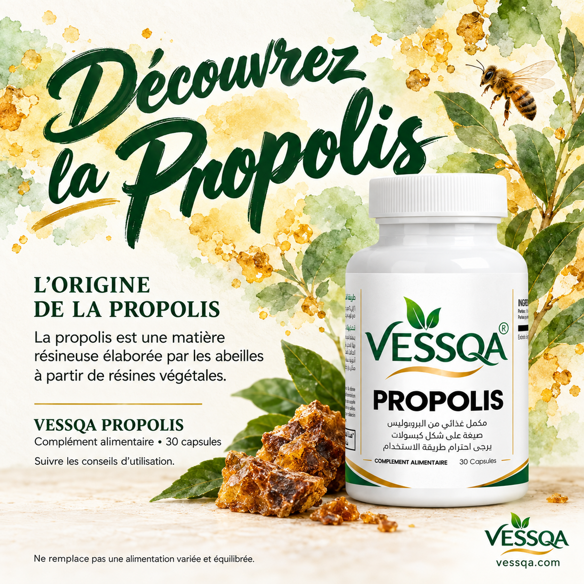 VESSQA Propolis – origine de la propolis, résines végétales et abeilles