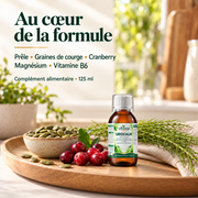 Formule UROCALM : prêle, graines de courge, cranberry, magnésium et vitamine B6