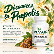 VESSQA Propolis – origine de la propolis, résines végétales et abeilles