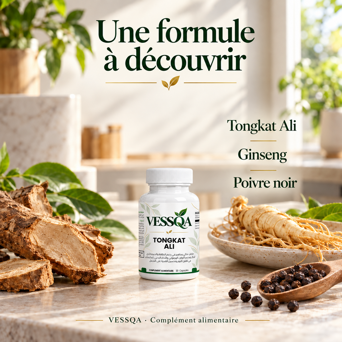 VESSQA Tongkat Ali — présentation botanique du Tongkat Ali, du ginseng et du poivre noir